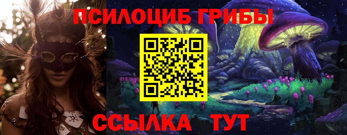 Галлюциногенные грибы GOLDEN TEACHER  Псилоцибиновые грибы мицелий  Городец  Вход с VPN 