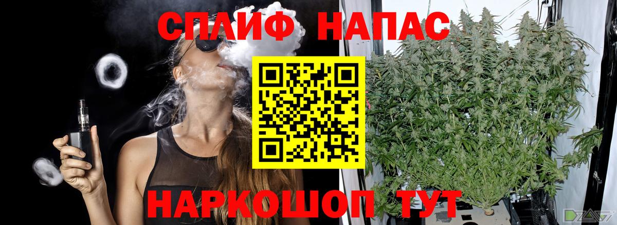 Каннабис план Городец